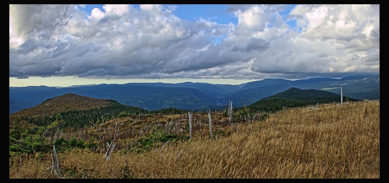 14 Parc National Gaspesie 035