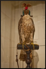 Loire 02 Chambord 085