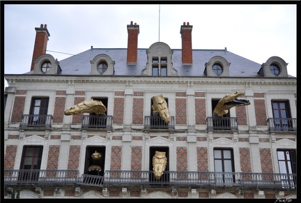 Loire 03 Blois 060