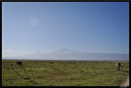 Kenya 04 Amboseli 067