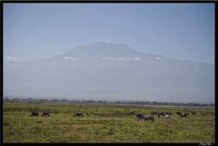 Kenya 04 Amboseli 068