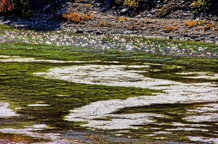 Canada 23 Glacier Athabasca 16