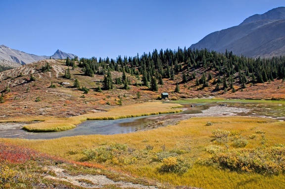 Canada 23 Glacier Athabasca 17