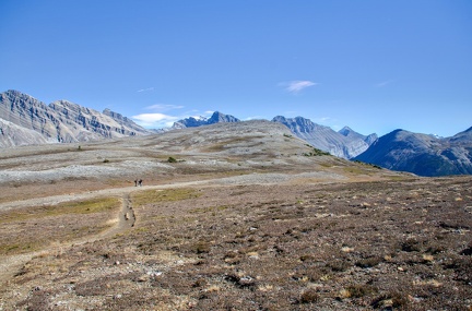 Canada 24 Parker Ridge trail 15