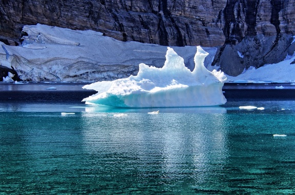 Canada 39 Iceberg Lake Trail 22
