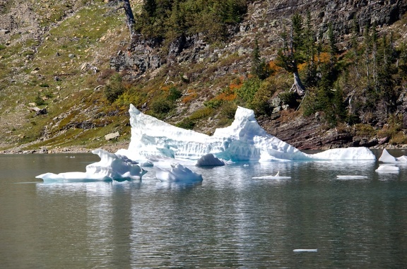 Canada 39 Iceberg Lake Trail 28