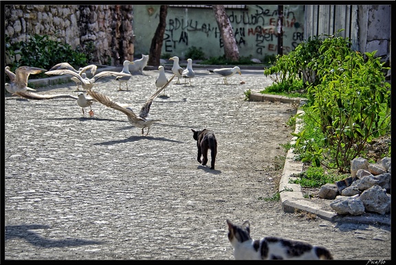 Istanbul 03 Sultanahmet 63