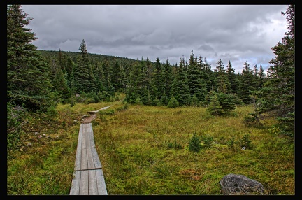 14 Parc National Gaspesie 008